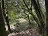 Ma-Cabane - Vente Terrain CENDRAS, 1032 m²