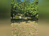 Ma-Cabane - Vente Terrain Cernay, 1271 m²