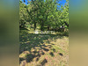 Ma-Cabane - Vente Terrain Cernay, 1271 m²