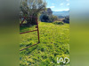 Ma-Cabane - Vente Terrain Cernon, 950 m²