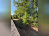 Ma-Cabane - Vente Terrain CERNY, 1760 m²
