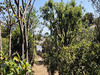 Ma-Cabane - Vente Terrain Ceyreste, 494 m²