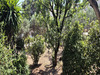 Ma-Cabane - Vente Terrain Ceyreste, 494 m²