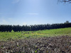 Ma-Cabane - Vente Terrain Chabrignac, 1525 m²