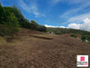 Ma-Cabane - Vente Terrain CHAMPAGNEY, 2312 m²