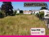 Ma-Cabane - Vente Terrain CHAMPTOCEAUX, 787 m²