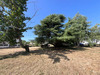 Ma-Cabane - Vente Terrain Charbuy, 1110 m²