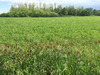 Ma-Cabane - Vente Terrain Charnay-lès-Mâcon, 740 m²