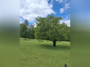 Ma-Cabane - Vente Terrain Chasseneuil-sur-Bonnieure, 1000 m²