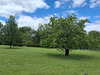 Ma-Cabane - Vente Terrain Chasseneuil-sur-Bonnieure, 1000 m²