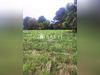 Ma-Cabane - Vente Terrain Chateau-d'Olonne, 2276 m²