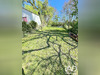 Ma-Cabane - Vente Terrain Chateau-Landon, 1062 m²
