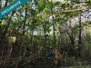 Ma-Cabane - Vente Terrain Chateau-Thierry, 3433 m²