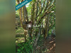 Ma-Cabane - Vente Terrain Chateau-Thierry, 3433 m²