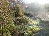 Ma-Cabane - Vente Terrain CHATEAUNEUF DU FAOU, 483 m²