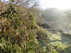 Ma-Cabane - Vente Terrain CHATEAUNEUF DU FAOU, 483 m²