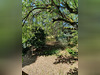 Ma-Cabane - Vente Terrain CHATEAUROUX, 800 m²