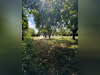 Ma-Cabane - Vente Terrain Chatelain, 1016 m²