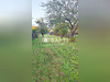 Ma-Cabane - Vente Terrain Chatellerault, 736 m²