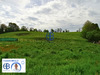Ma-Cabane - Vente Terrain CHATONNAY, 807 m²