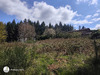 Ma-Cabane - Vente Terrain CHAUFFAILLES, 1679 m²