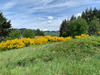 Ma-Cabane - Vente Terrain Chauffailles, 1679 m²