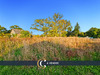 Ma-Cabane - Vente Terrain CHAUVIGNE, 825 m²