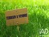 Ma-Cabane - Vente Terrain Chenoise, 1176 m²