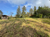 Ma-Cabane - Vente Terrain CHISSAY-EN-TOURAINE, 2454 m²