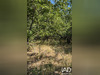 Ma-Cabane - Vente Terrain Cipieres, 3340 m²