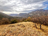 Ma-Cabane - Vente Terrain CLANS, 8110 m²