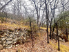 Ma-Cabane - Vente Terrain CLANS, 8110 m²