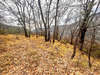 Ma-Cabane - Vente Terrain CLANS, 8110 m²