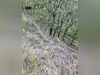 Ma-Cabane - Vente Terrain CLANS, 7168 m²
