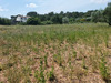 Ma-Cabane - Vente Terrain Clermont-l'Hérault, 2341 m²
