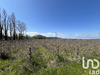 Ma-Cabane - Vente Terrain Codolet, 6585 m²