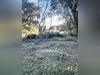 Ma-Cabane - Vente Terrain COLLIAS, 400 m²