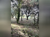 Ma-Cabane - Vente Terrain COLLIAS, 400 m²