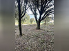 Ma-Cabane - Vente Terrain COLLIAS, 400 m²
