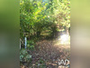 Ma-Cabane - Vente Terrain Condat-sur-Vienne, 643 m²
