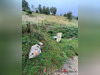 Ma-Cabane - Vente Terrain CORBEL, 2000 m²