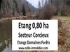 Ma-Cabane - Vente Terrain Corcieux, 8000 m²