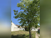 Ma-Cabane - Vente Terrain Corneilhan, 398 m²