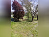 Ma-Cabane - Vente Terrain Corrençon-en-Vercors, 1000 m²