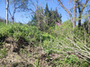 Ma-Cabane - Vente Terrain COUFFOULENS, 1779 m²