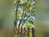 Ma-Cabane - Vente Terrain Coufouleux, 2180 m²