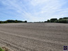Ma-Cabane - Vente Terrain COULOGNE, 180 m²