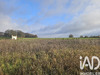 Ma-Cabane - Vente Terrain Courcome, 1295 m²