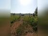 Ma-Cabane - Vente Terrain COURLAOUX, 1403 m²