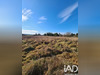 Ma-Cabane - Vente Terrain Cours-de-Pile, 3590 m²